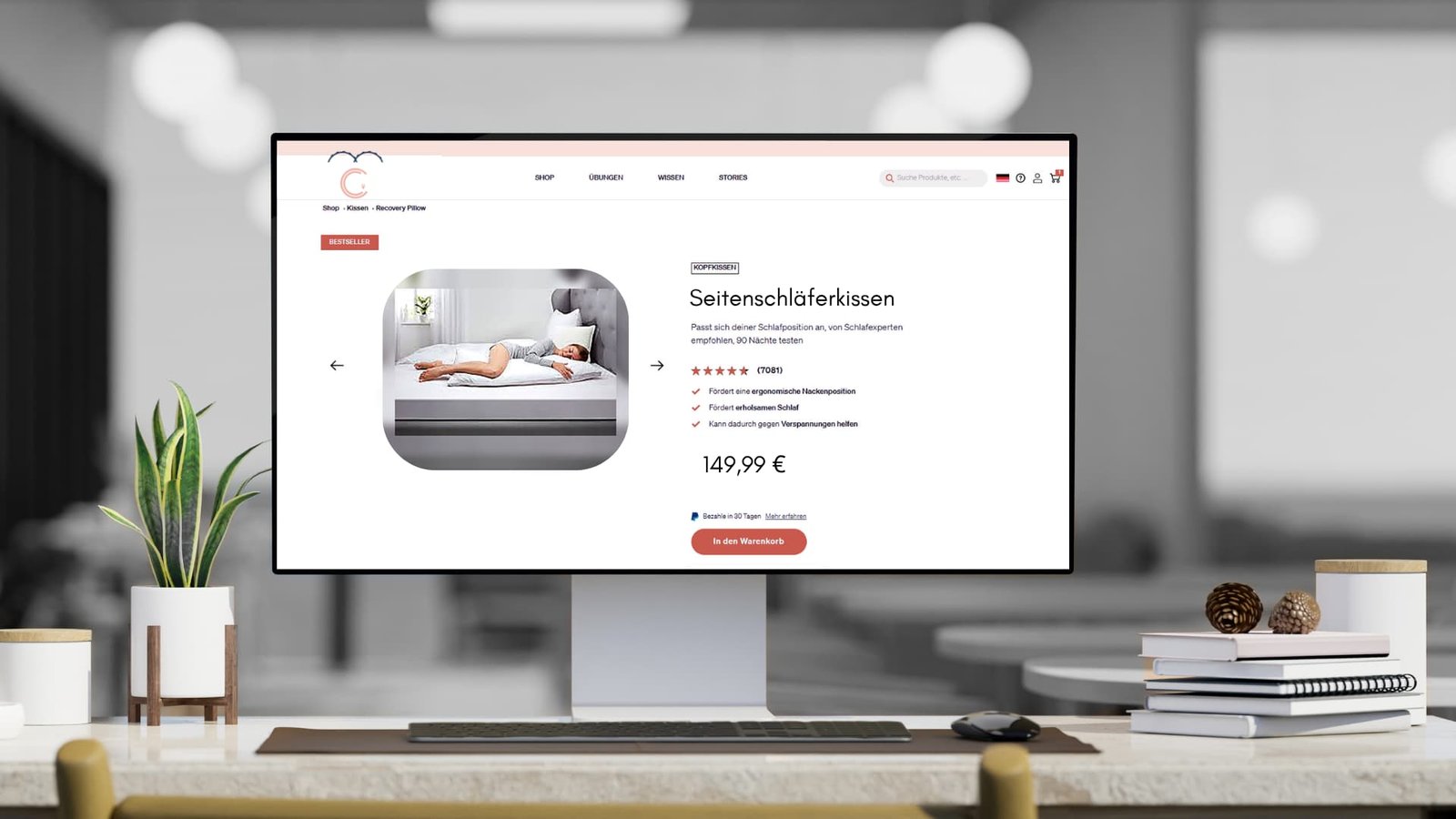 SEA-Kampagnen und Webshop-Optimierung für Seitenschläferkissen – Beispiel für erfolgreiche E-Commerce Performance mit Google Ads und Conversion-Optimierung.