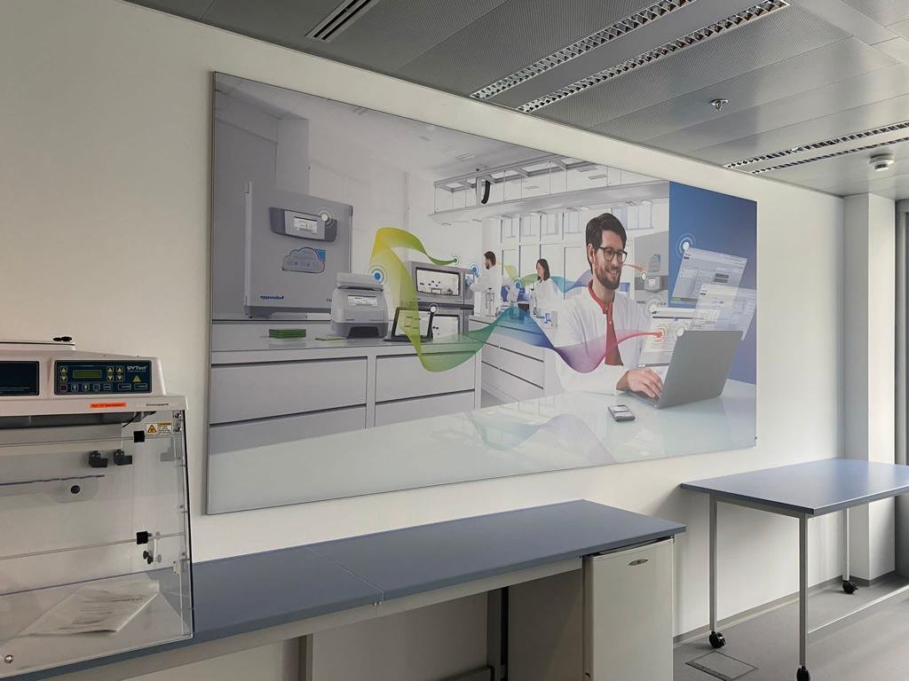 Großformatiger Spannrahmen mit Frontlit-Bespannung und 4c-Druck im Büro.